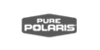 Polaris Pure Logo